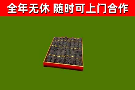 日土县回收海参